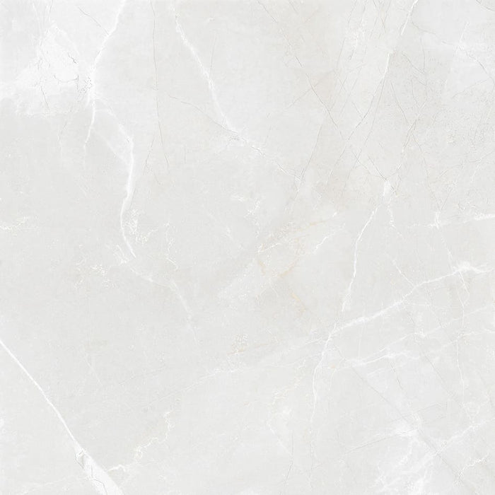 Dappled Grey Matt Porcelain Tile (60x60cm)