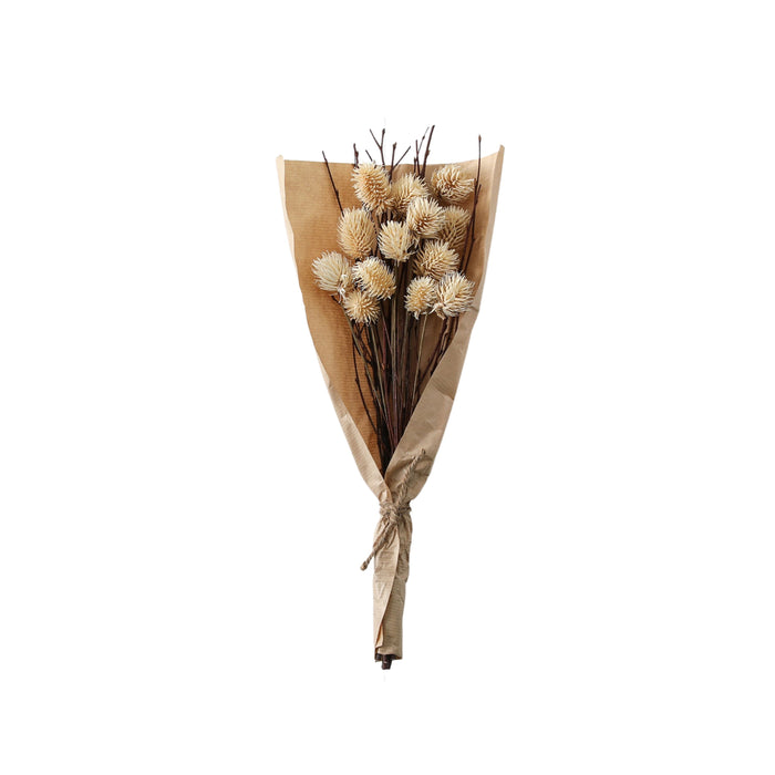 Dried Thistle Bundle in paper - Natural