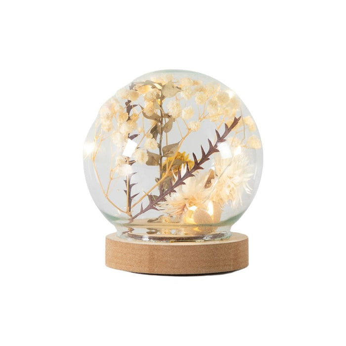 Dry Flora Globe with LED Cream & Yellow