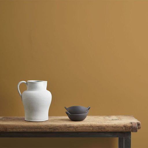 Annie Sloan Carnaby Yellow Wall Paint - South Planks