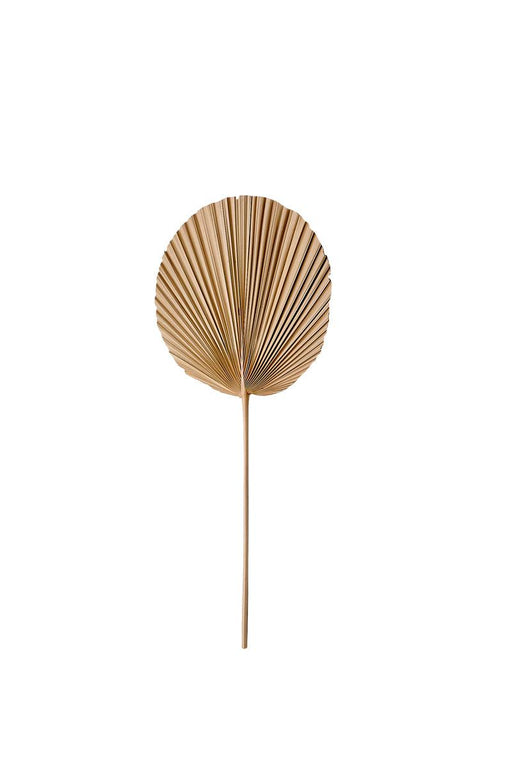 Wooden Plant Ornament With Rounded Edge - South Planks