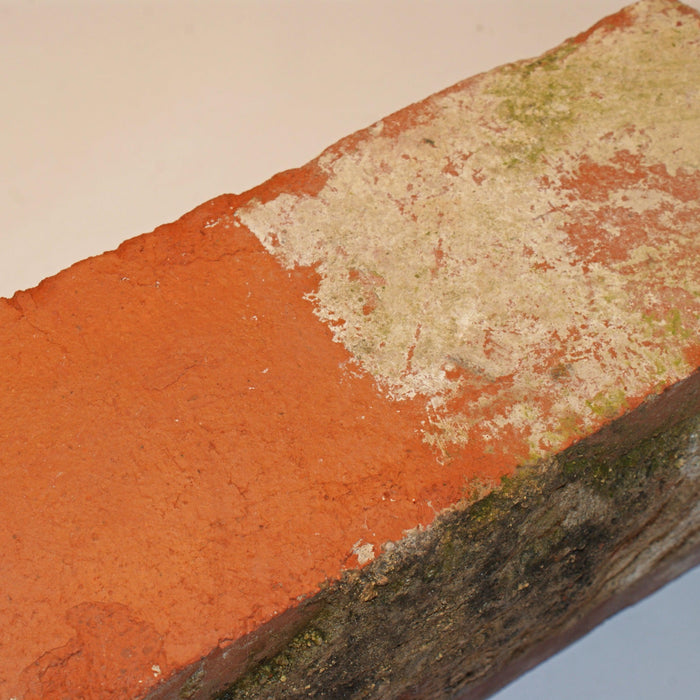 Eco Stone Shield Concrete & Salt Remover - South Planks