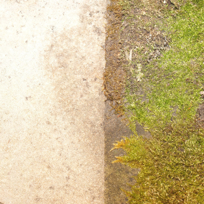 Eco Stone Shield Moss & Algae Remover - South Planks