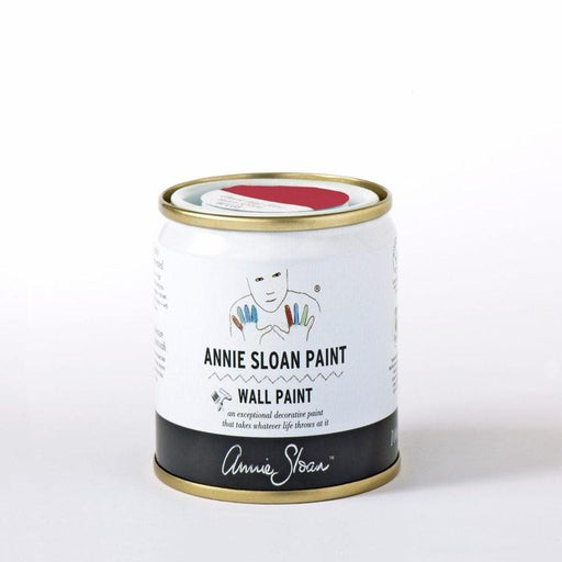 Annie Sloan Emperor's Silk Wall Paint - South Planks