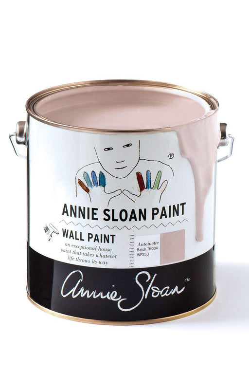 Annie Sloan Antoinette Wall Paint - South Planks